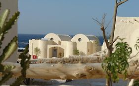 The Oasis